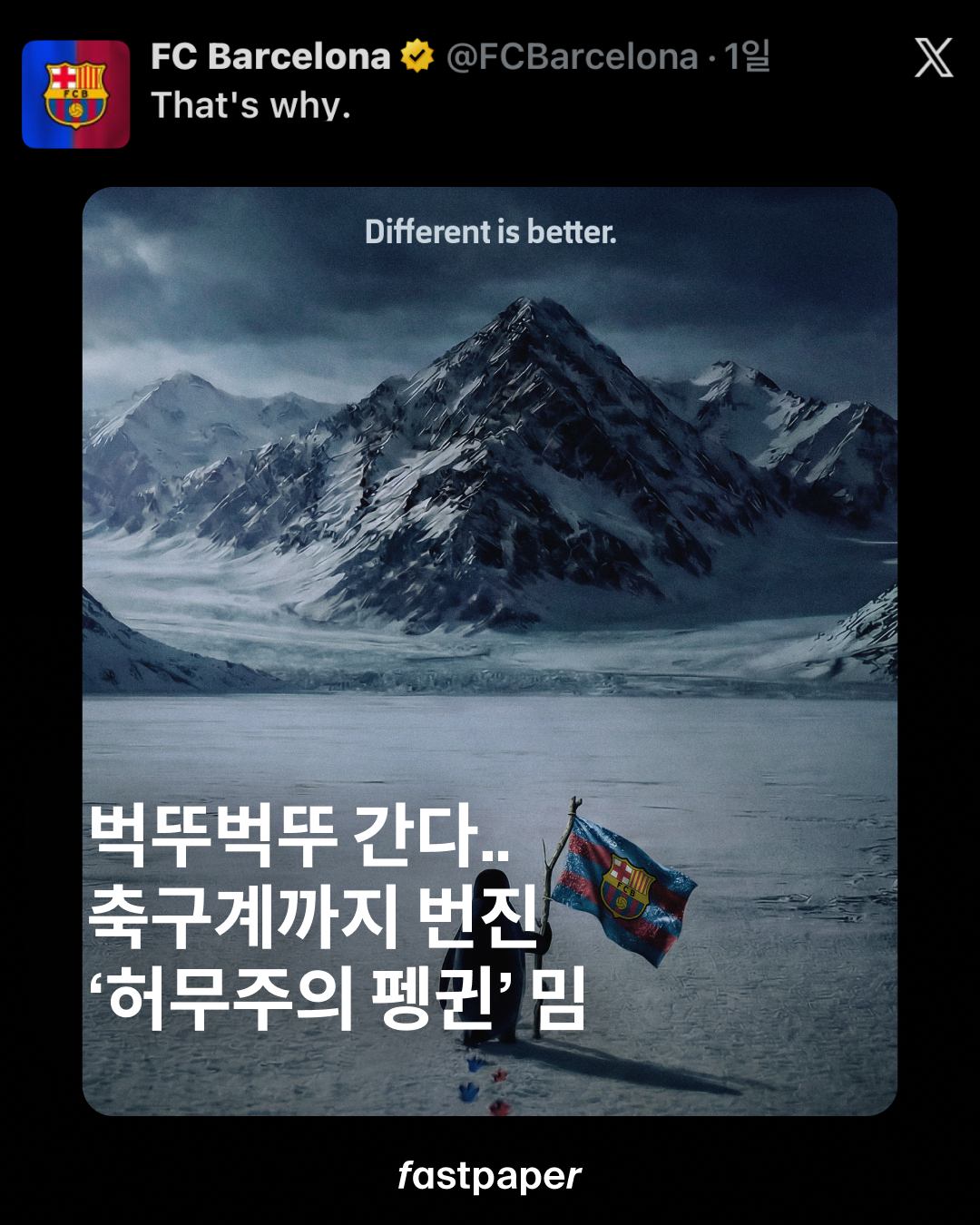 난 내 갈 길 간다. 축구계까지 번진 ‘허무주의 펭귄’ 밈.. | 패스트페이퍼 (Fastpaper)